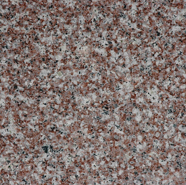 G664
